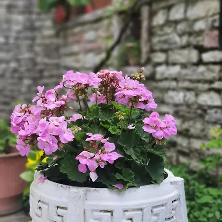 Castle Szálloda Gjirokastra