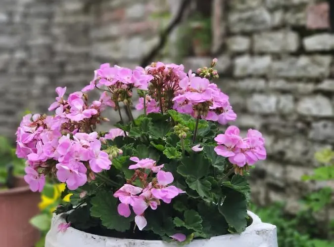 Castle Hotel Gjirokastër